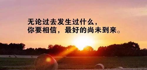 自由之梦：追寻内心的旋律