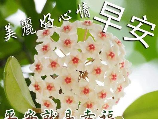 祝福幸福美好（永远不要停止追寻）