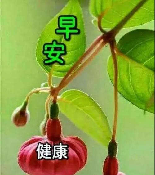 幸福的祝福——送给你的美好祝愿