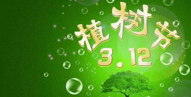 《从此绿树成荫》——以植树节主题宣传标语110句