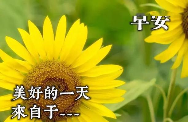 清晨暖心问候（唯美短句传递温暖）