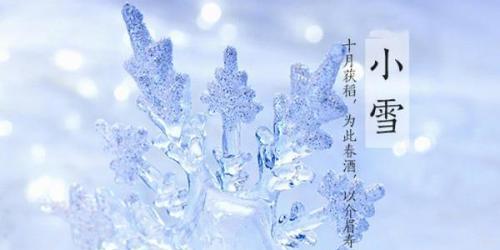 传递小雪祝福，温暖心灵（在这个寒冬里）