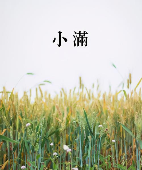 小满，夏季初现（二十四节气中）