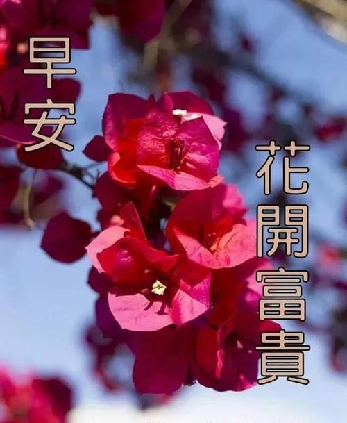 幸福之花的陪伴（一个女孩的成长与幸福）