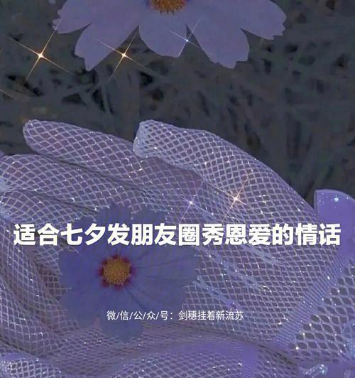 璀璨七夕，美好如诗（2024年）