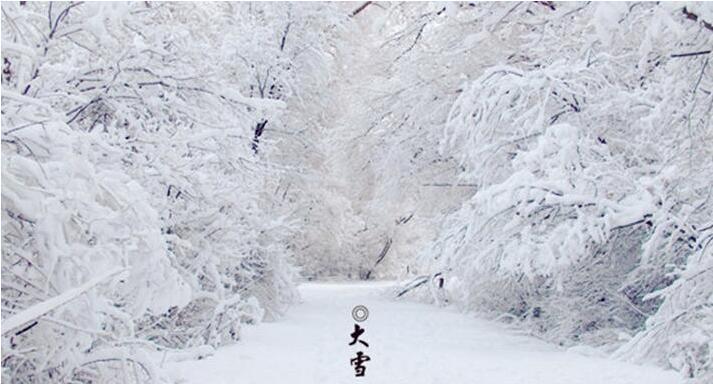 雪落轻纱，梦境如诗（雪落轻纱）