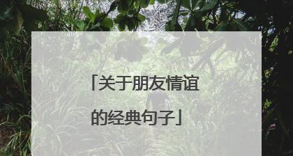 友情的美好与珍贵