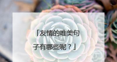 一：友情如同一盏明灯，照亮我们走过人生的每一个阶段。