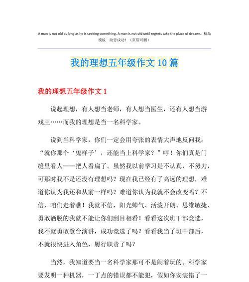 追寻梦想的勇者（理想演员的故事）