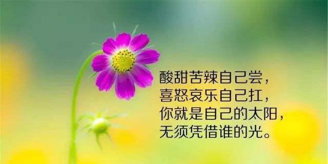 《激励别人，让生命绽放》