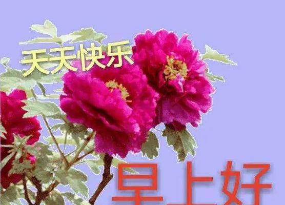 《谷雨经典好句摘抄：唯美短句集锦》