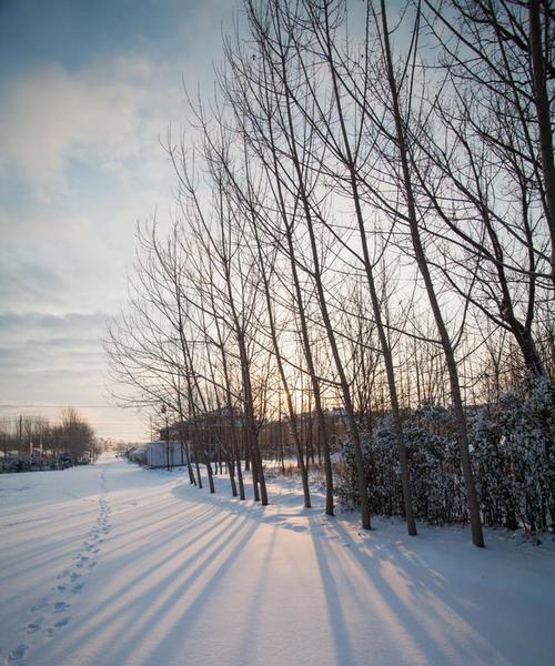 初雪芳菲，梦境如诗（迎接2024年第一场雪）