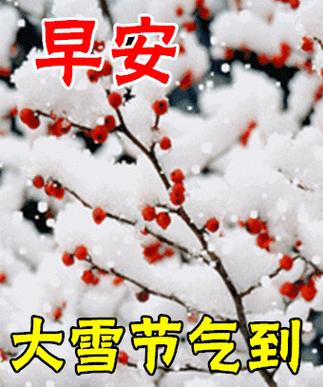 大雪祝福：雪落人间，幸福如雪