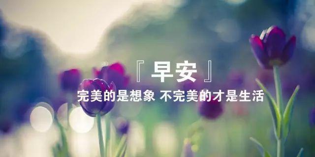 朋友圈早安暖心话短句：温暖你的每一天