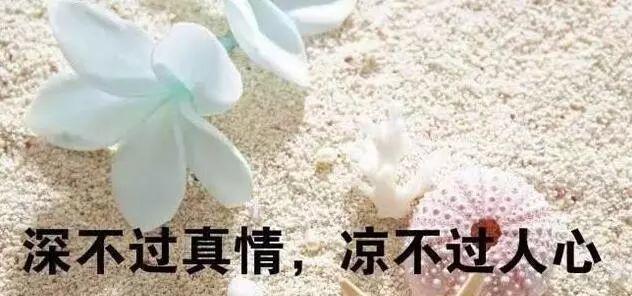 流淌在岁月长河中的美好感悟（流淌在岁月长河中的美好感悟）