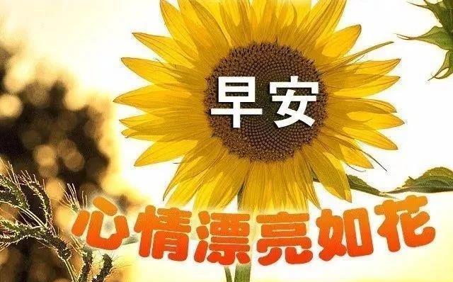 早安唯美短句——让心灵慢慢醒来（走心短句、温馨心语、唯美诗句）