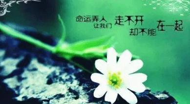 感同深受，心灵相通（唯美句子的心灵抚慰）