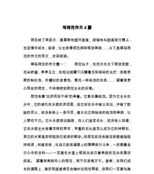 为爱坚持不懈（让生命绽放自我）