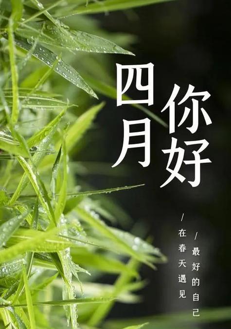 六月你好，愿你与爱同行（111条经典祝福语带你感受六月的美好）