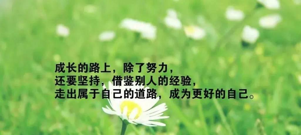 如何让自己坚持下去（25个唯美句子教你励志自己坚持）