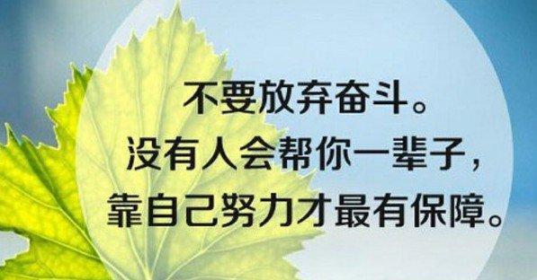 用意志的力量创造美好人生（用意志的力量创造美好人生）