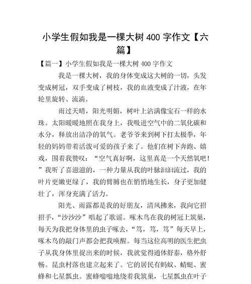 流连忘返的小山坡——一个永远让人流连忘返的地方